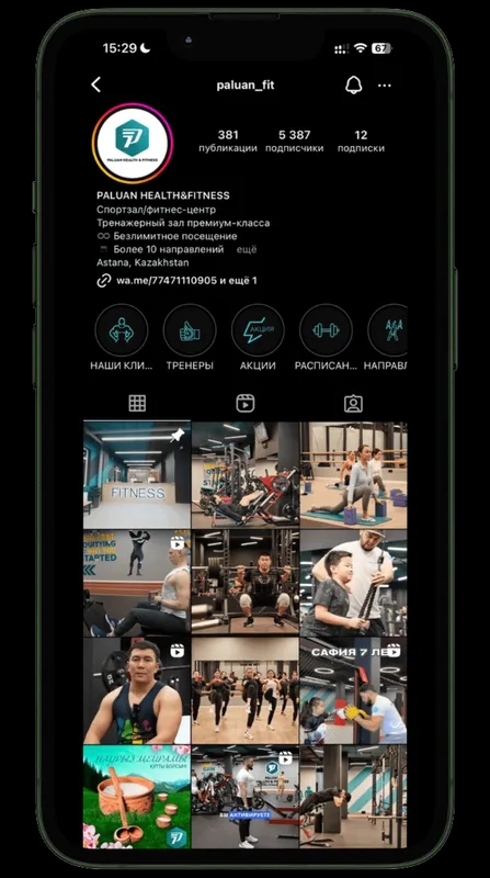 paluan_fit